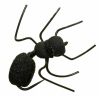 Ant Misbehavin Terrestrial Dry Fly