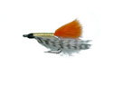 Bonefish Special Bonefish Fly